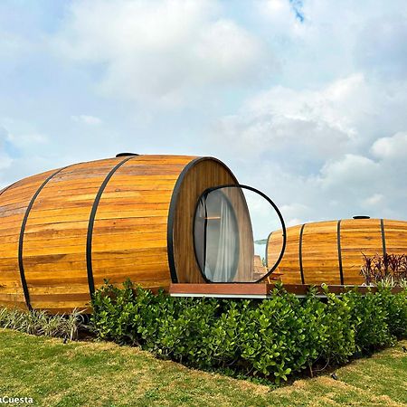 Villa Dejota Pardinho Luaran gambar